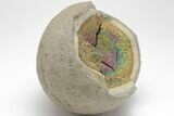 Iridescent, Rainbow-Pyrite Septarian Nodule - Russia #207239-3